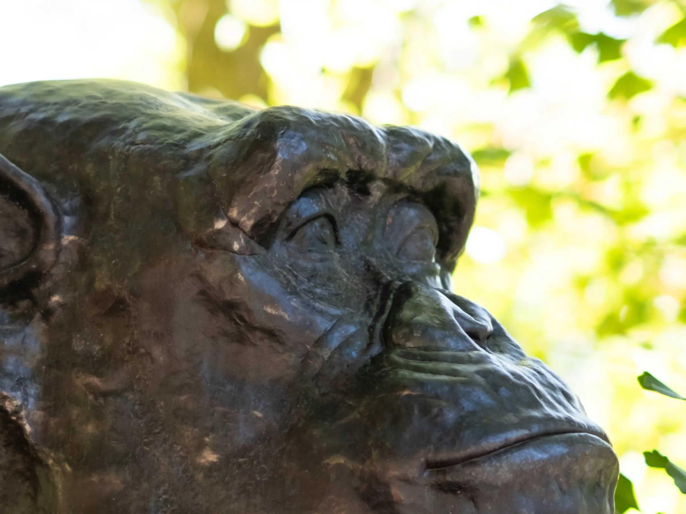 となりにいてあげる